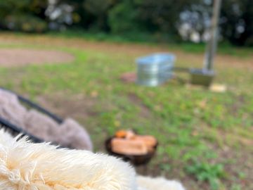 Outdoor chairs and a small firepit for each yurt