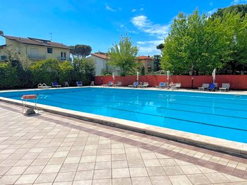 The pool and sun deck