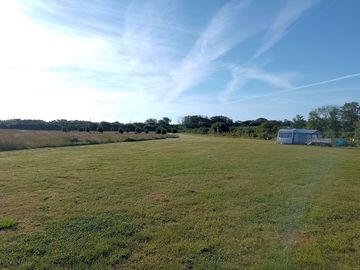 More grass pitches
