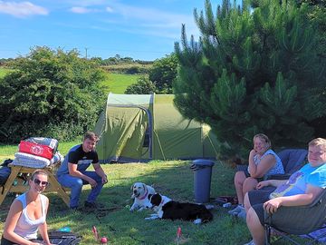 Dog friendly pitches