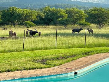 A pool with a view