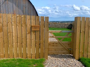 Outside gate fern
