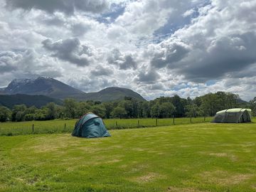 Grass pitch
