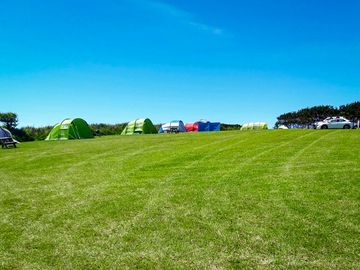Grass pitches