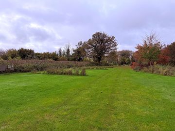 Autumn colours