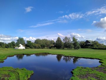 Reflections in the pond (added by manager 29 apr 2024)