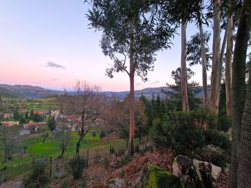 View from the site