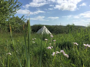 Grassy pitches