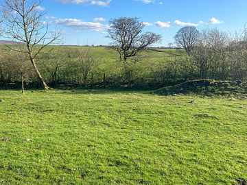 Grassy pitches