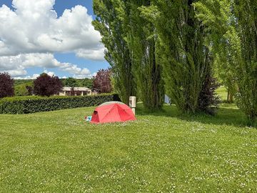 Pitch protected by mature trees