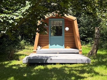 Cabin set among the trees