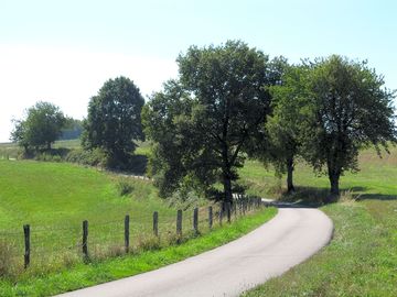 Road near the site