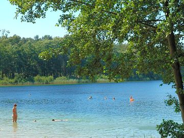 Swimming in the lake