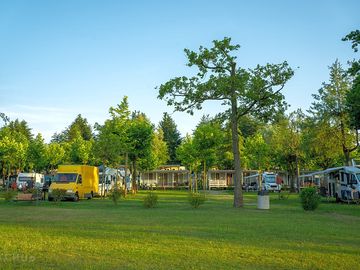 Spaziose piazzole a pochi passi dal lago maggiore con elettricità. (added by manager 13 aug 2022)