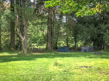 Grass pitches