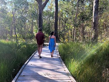 Bushland boardwalk
