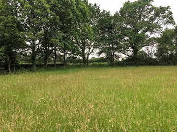 Secluded meadow pitches (added by manager 24 may 2023)