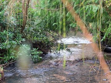 St martins burn (added by manager 17 feb 2023)