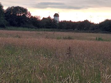 Camping field