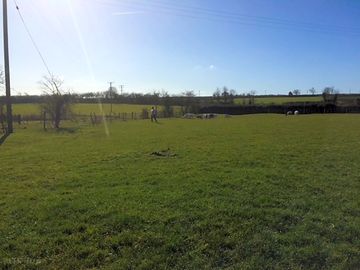 The camping field