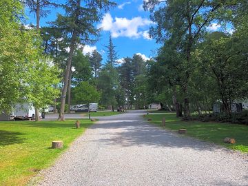 Around the site