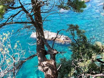 Most villages in cinque terre are located directly on the sea