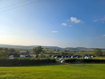 Site area