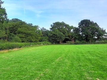 Left side of campsite heading towards far hedge - lots of space to pitch up alongside the hedgerow.