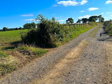 Lane leading to the field.
