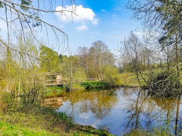 View across the lake to tilly's cabin (added by manager 29 sep 2022)