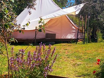 Bell tent exterior (added by manager 13 may 2024)