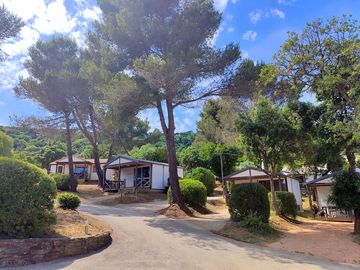 Lodges among the trees