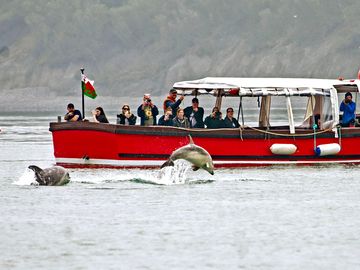 Boat trips from new quay