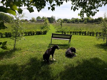 The chateau garden