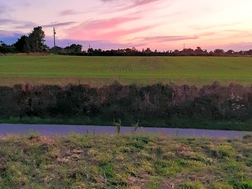 Pitches at sunset