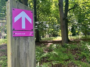 Walks from the campsite into rendlesham forest. ask for a map from reception.