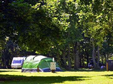 Grass pitches on site