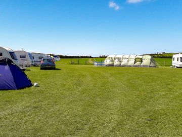 Grassy pitches