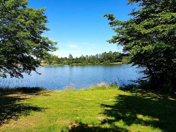 The lake