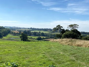 A view across the farm (added by manager 29 jun 2022)