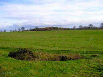 View from the pitches