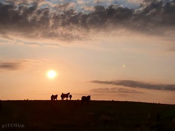 Sunset view