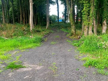 Pitch tucked under the trees