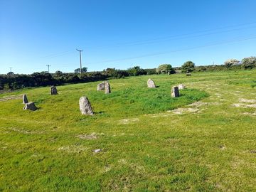 Around the site