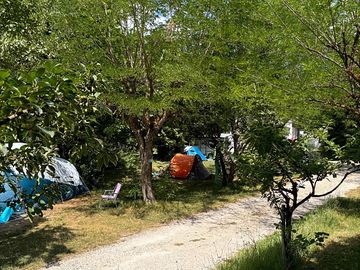 Camping