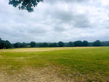 Grass pitches