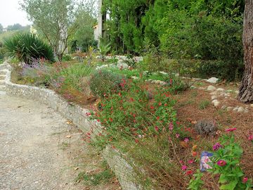 The site