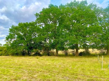 Beautiful scenic views surround our site