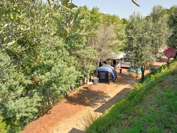 Quiet pitches surrounded by trees
