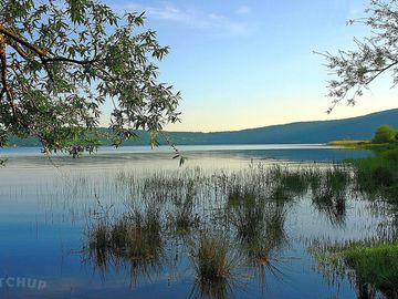 Lake view
